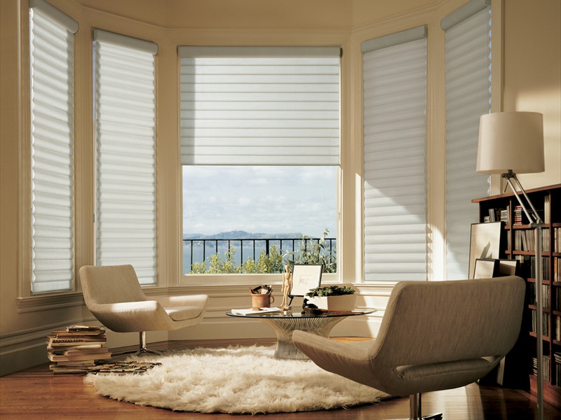 Pirouette® window shadings 